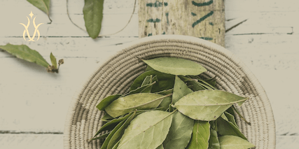 aromatic bay leaf tea