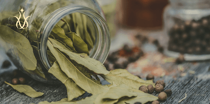 bay leaf tea